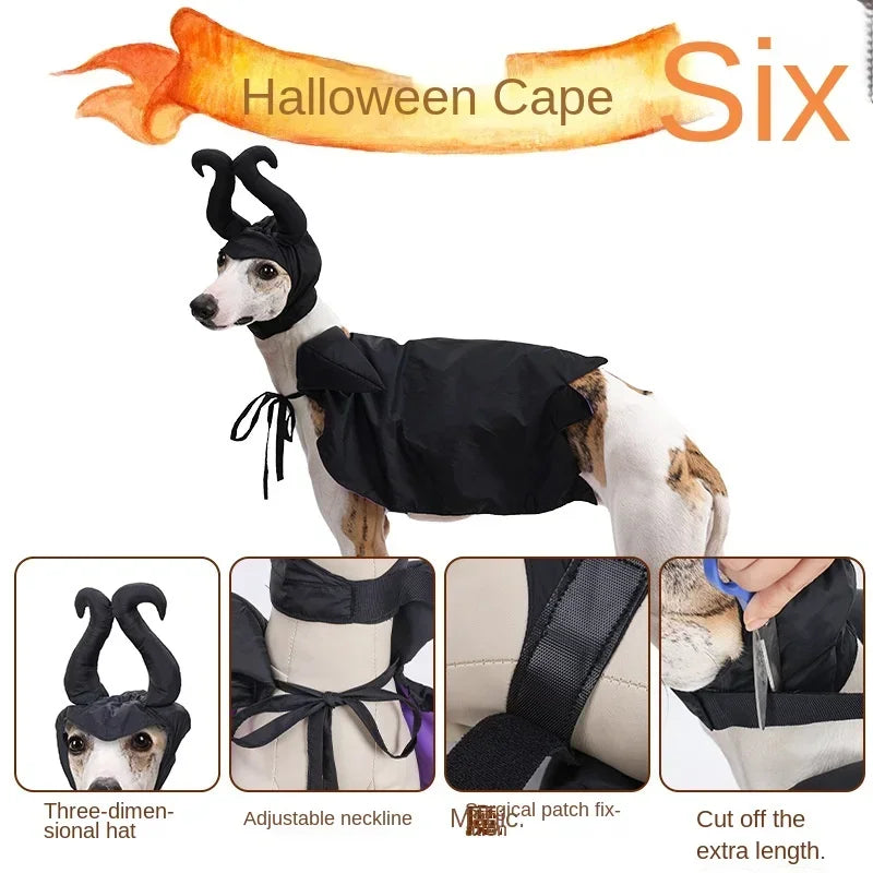 Halloween Pet Costume — Funny Dog & Cat Outfit