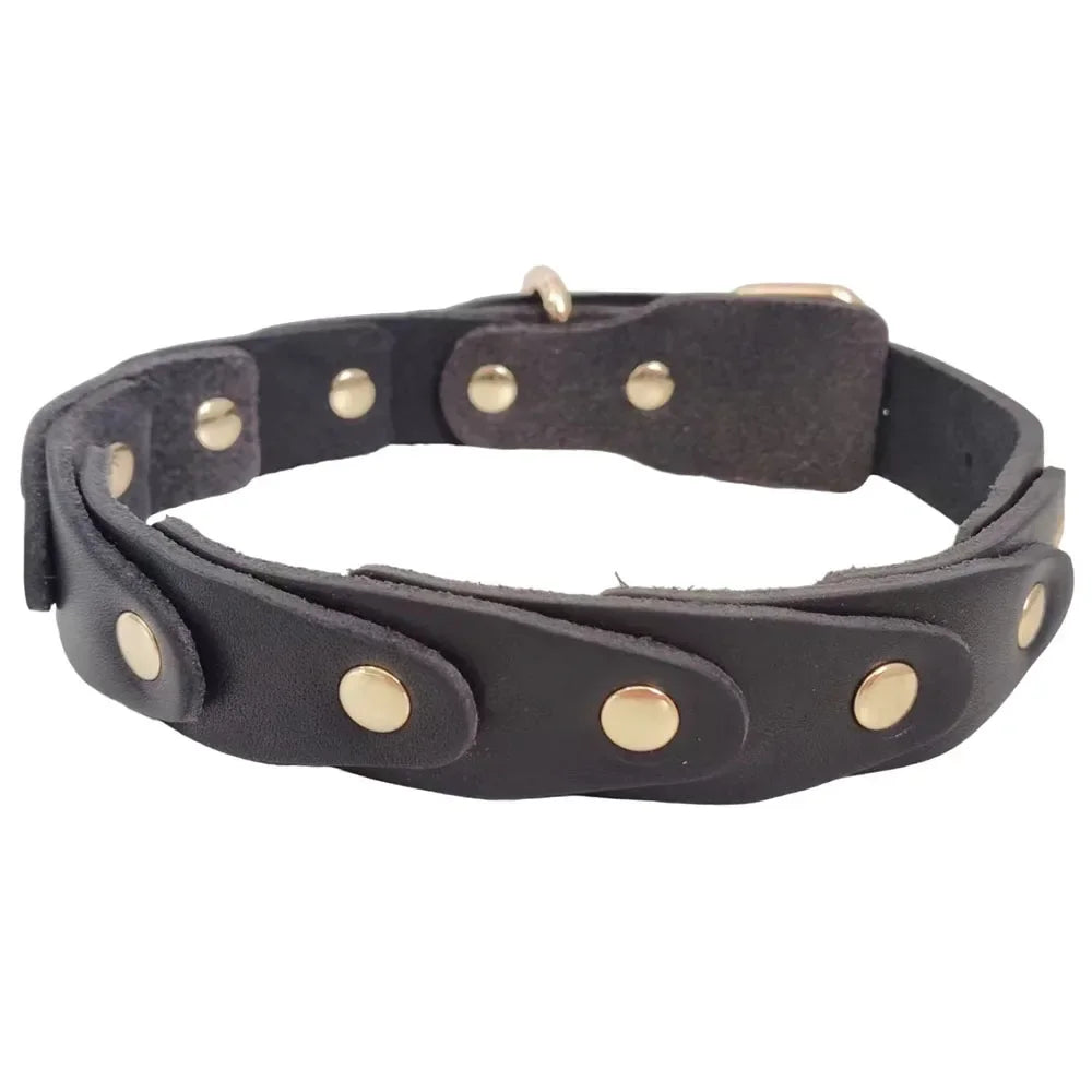 Genuine Leather Dog Collar — Durable & Stylish