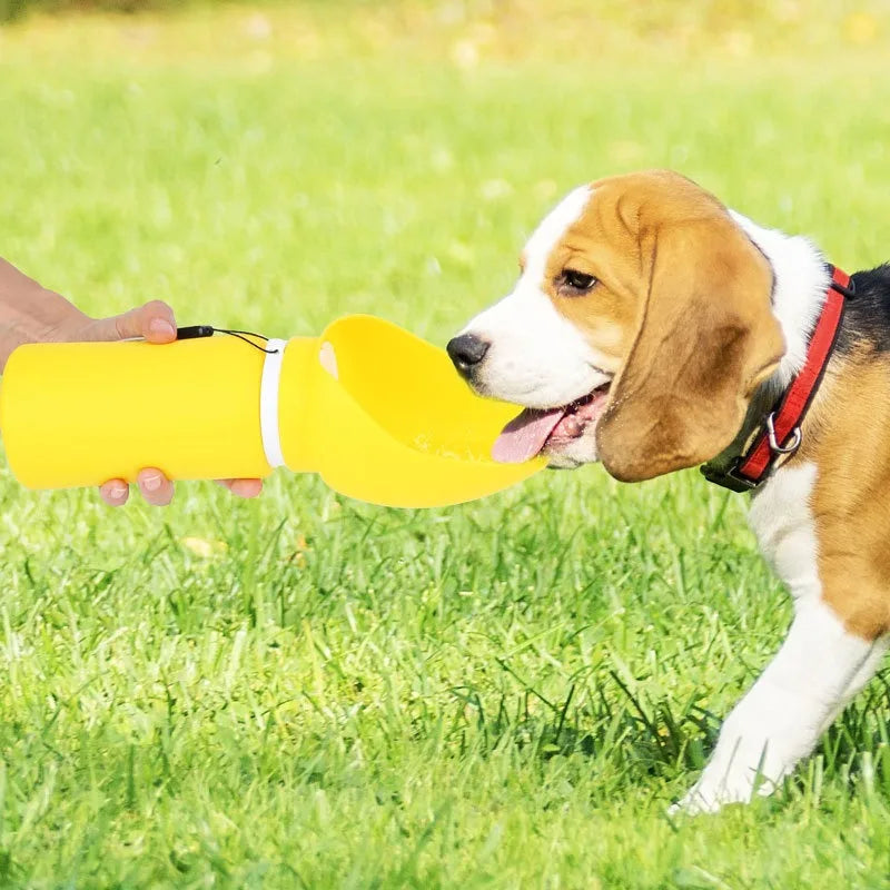 Portable Dog Water Bottle — Leak-Proof Travel Dispenser