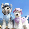 Reflective Dog Safety Vest — High-Visibility Walks
