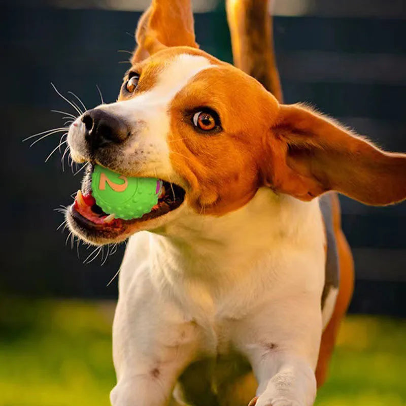 Interactive Dog Chew Toy — Durable & Squeaky