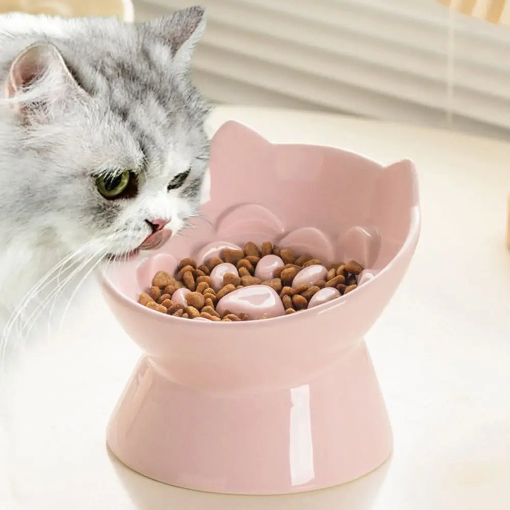 Collapsible Dog Bowl — Portable Travel Pet Feeder