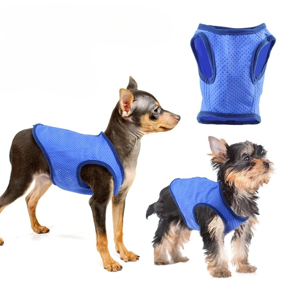Dog & Cat Clothes — Cozy Winter Outfit