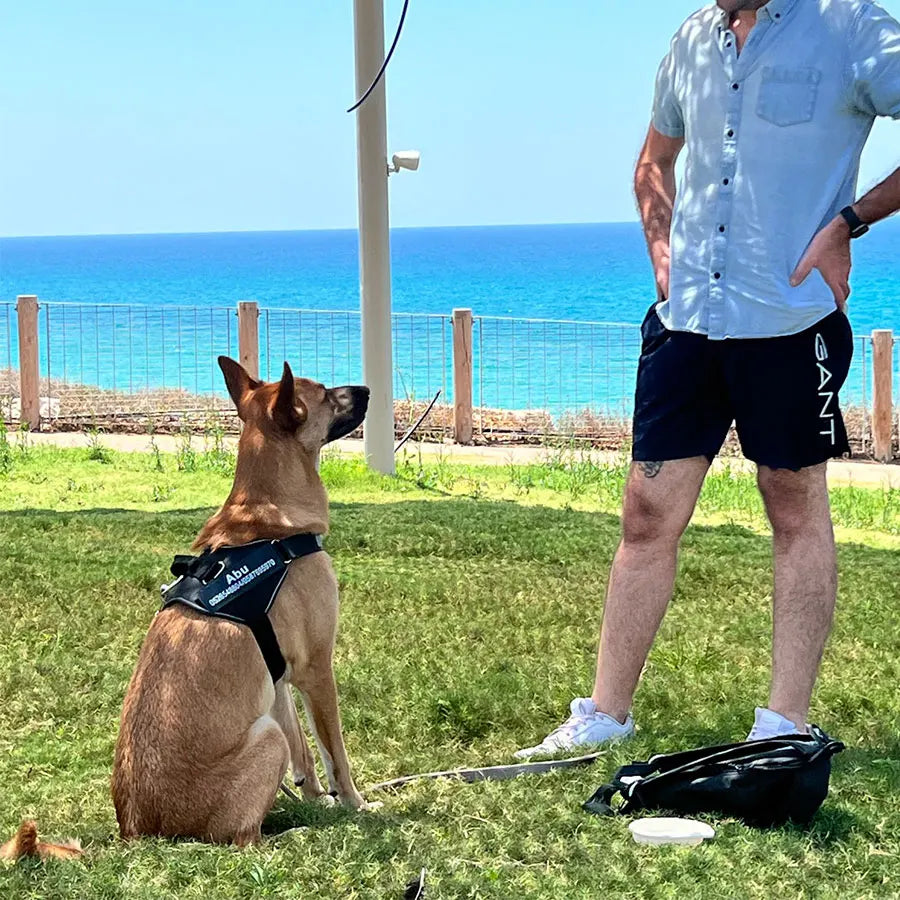 The ID Harness — Personalized Reflective Dog Harness