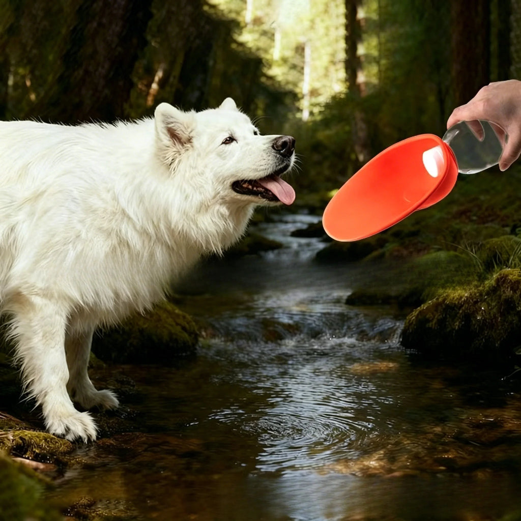 Portable Dog Water Bottle — Leak-Proof Travel Dispenser