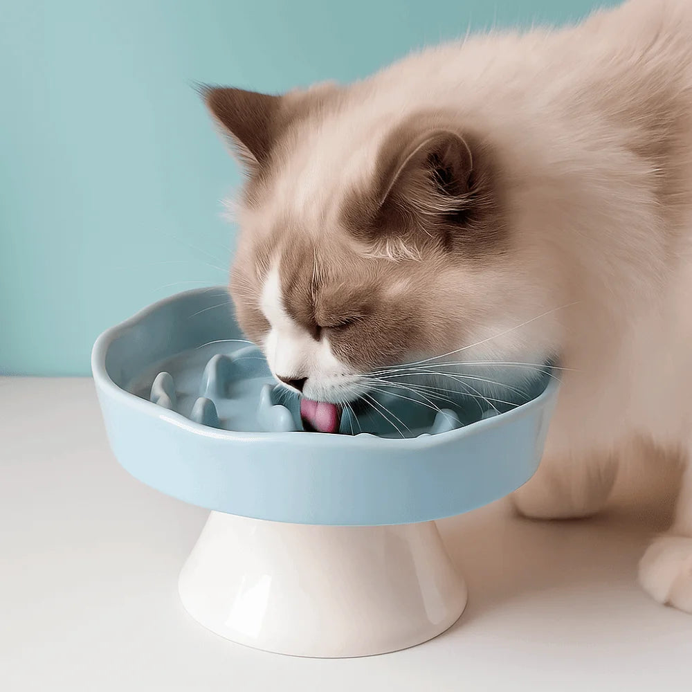 Collapsible Dog Bowl — Portable Travel Pet Feeder