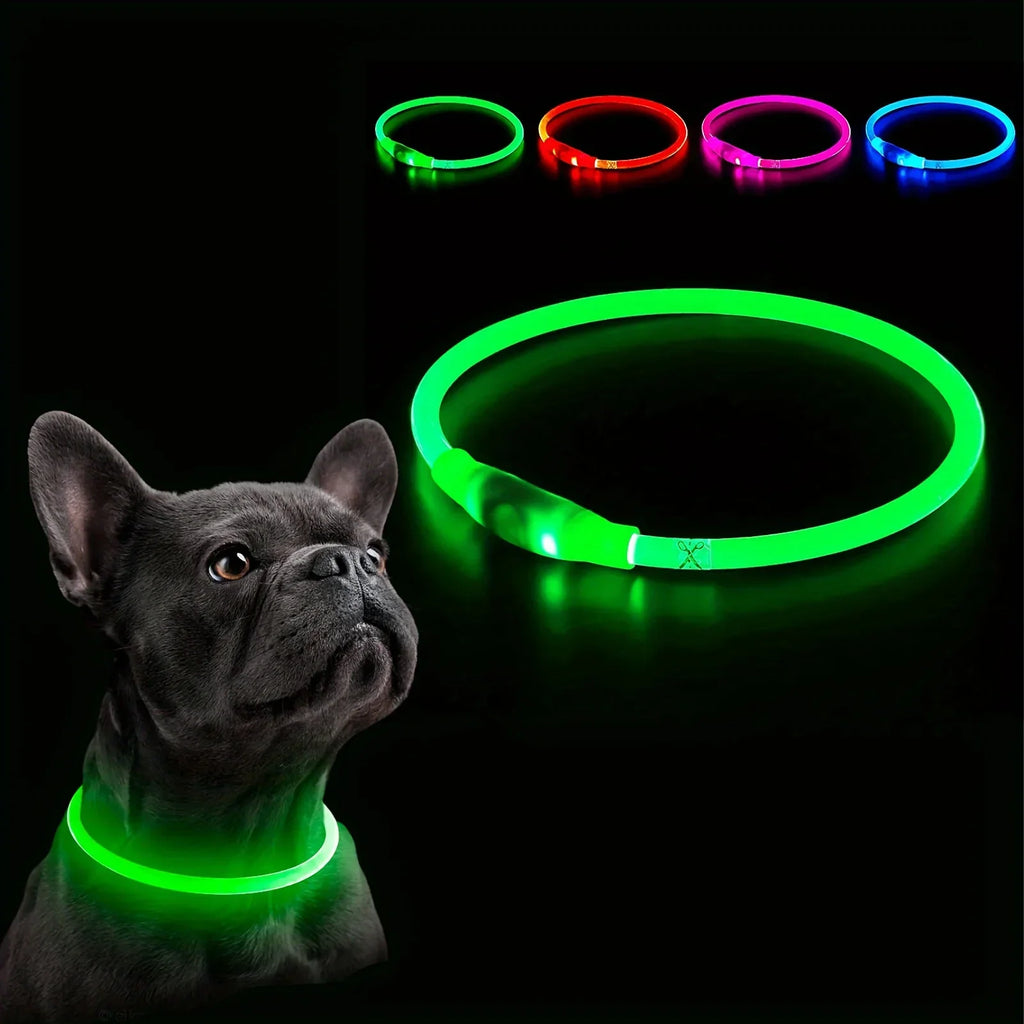 LED Light-Up Dog Collar — USB Rechargeable Night Safety