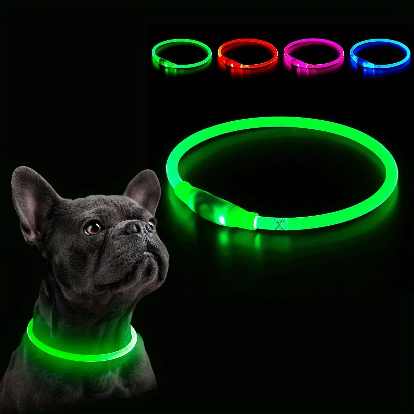 LED Light-Up Dog Collar — USB Rechargeable Night Safety