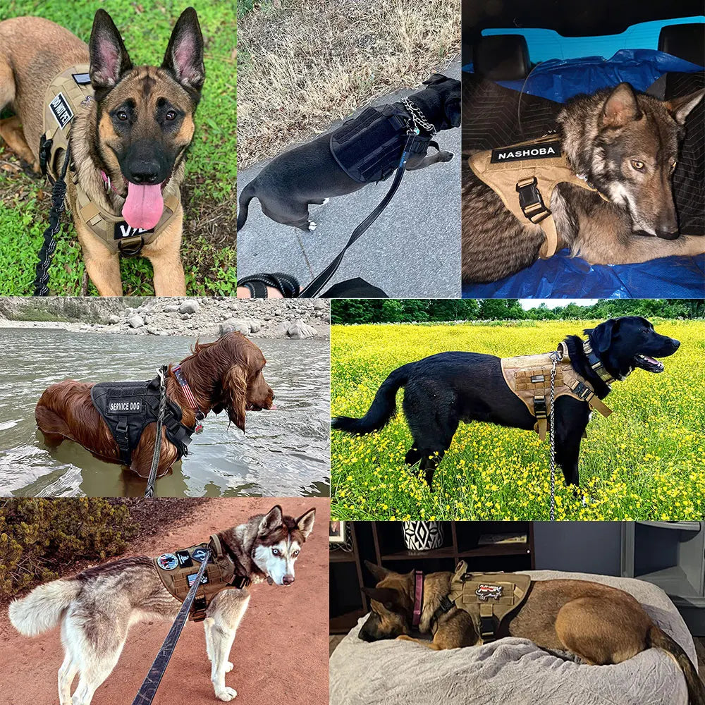 Adjustable Dog Harness — No-Pull Breathable & Reflective