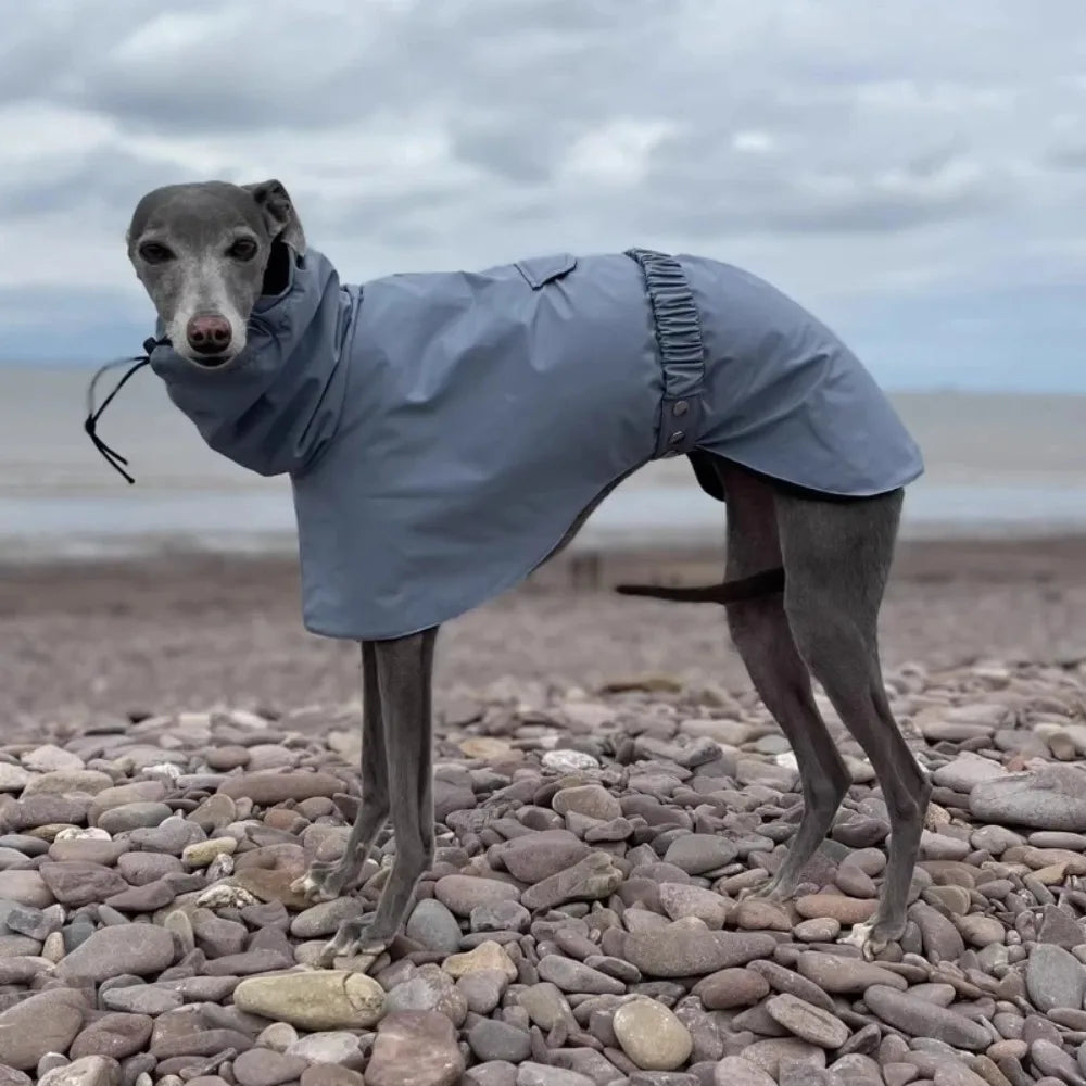 Dog & Cat Clothes — Cozy Winter Outfit