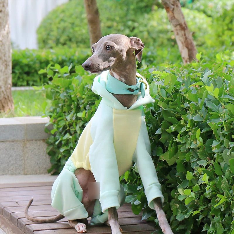 Dog & Cat Clothes — Cozy Winter Outfit