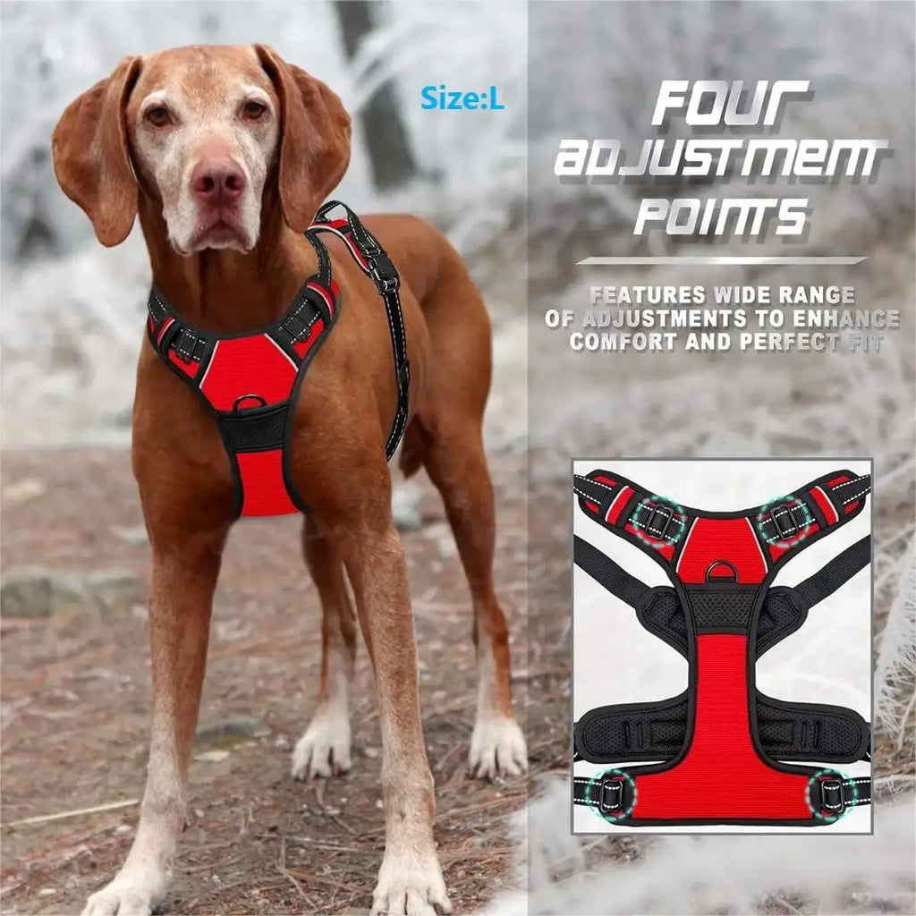 Parisian No-Pull Dog Harness — Adjustable & Escape-Proof