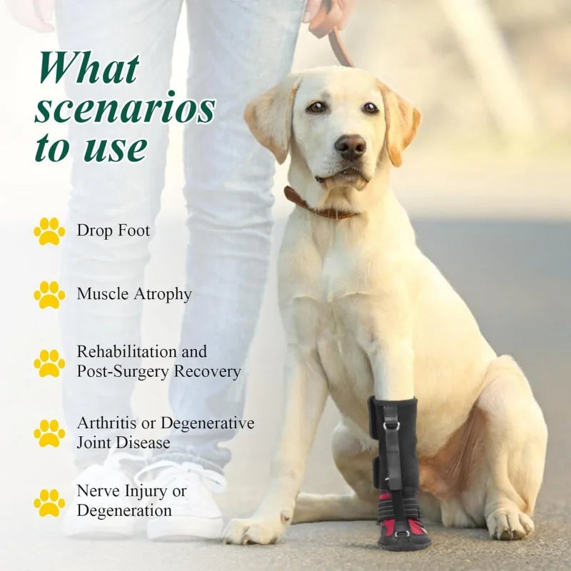 Dog Paw Protector Shoes — Non-Slip Breathable Boots