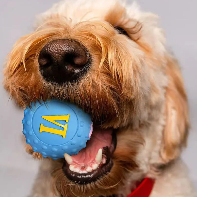 Interactive Dog Chew Toy — Durable & Squeaky