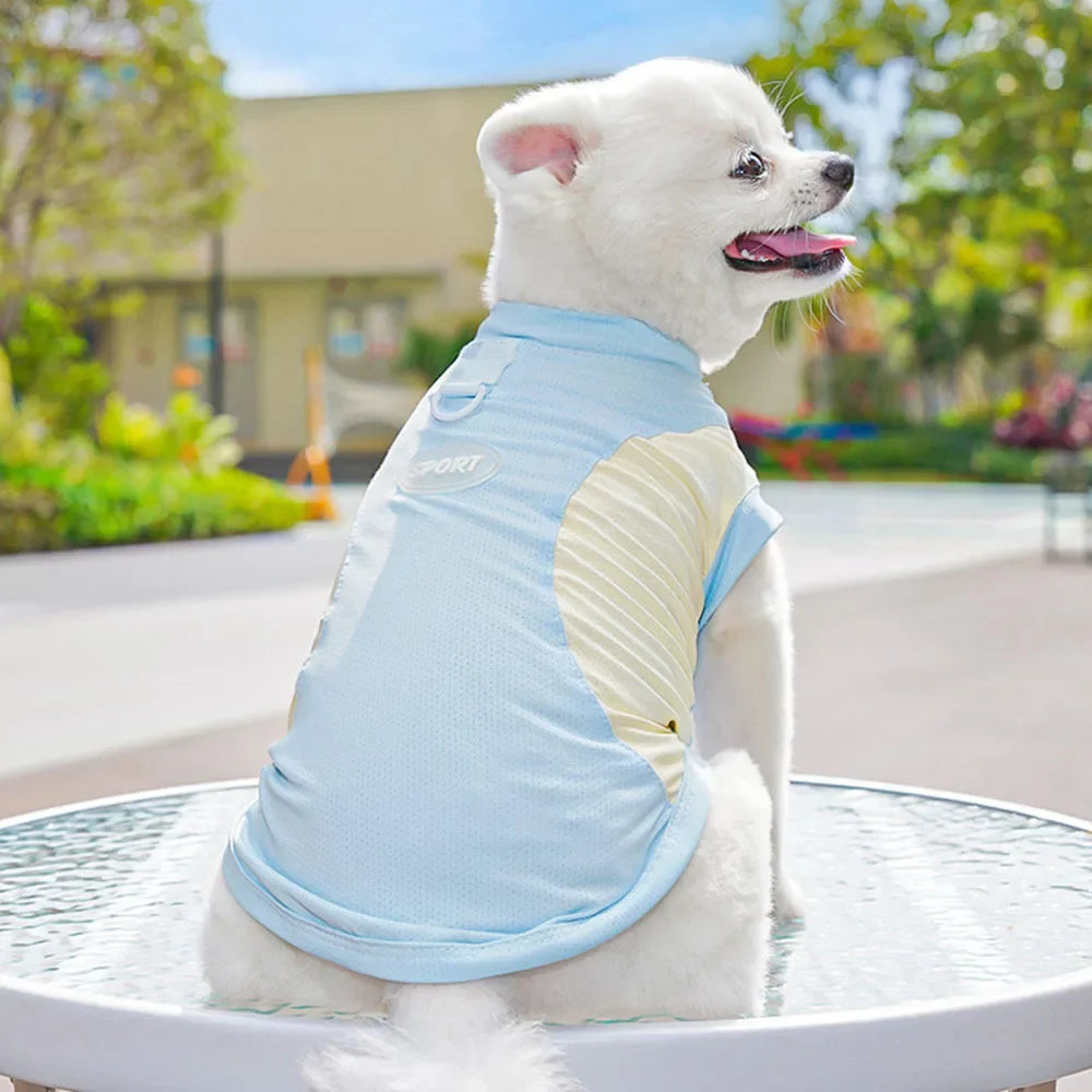 Summer Cooling Sport Shirt for Dogs — Breathable Mesh