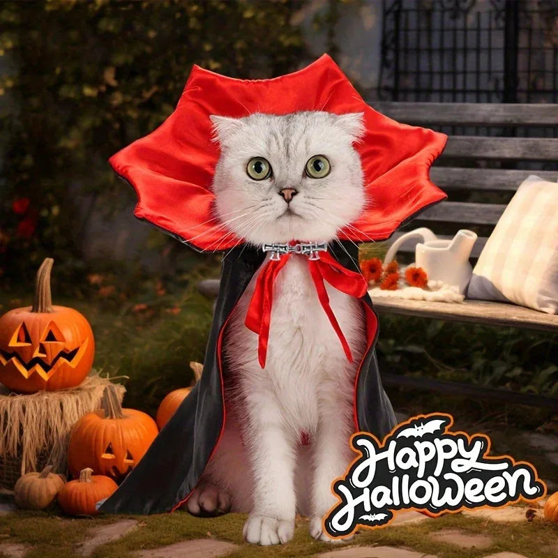 Halloween Pet Costume — Funny Dog & Cat Outfit