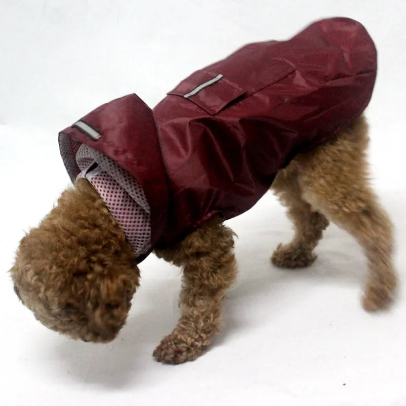 Dog & Cat Clothes — Cozy Winter Outfit